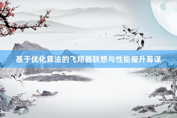基于优化算法的飞翔器联想与性能擢升筹谋